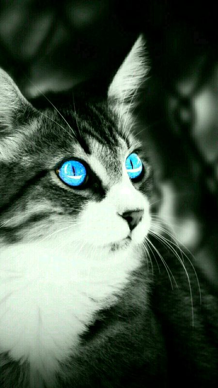 Beautiful Eyes😍..