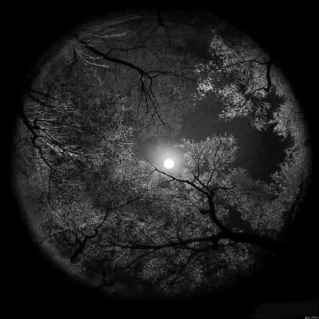 Beautiful Nature image