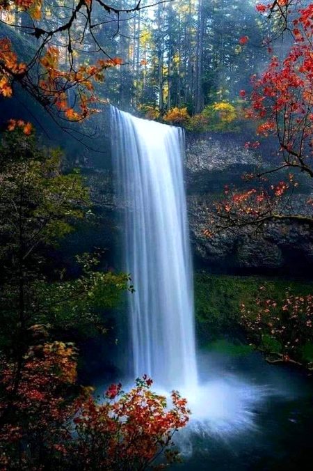 Beautiful Nature image
