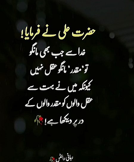 Islamic Quotes image