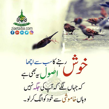 Islamic Quotes image