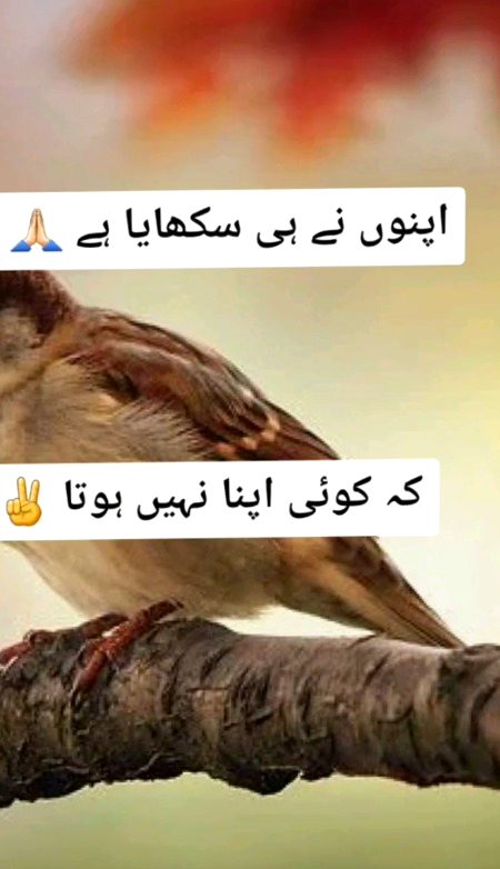 Mtlbi rishty🥀🥀