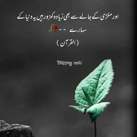 Islamic Quotes image