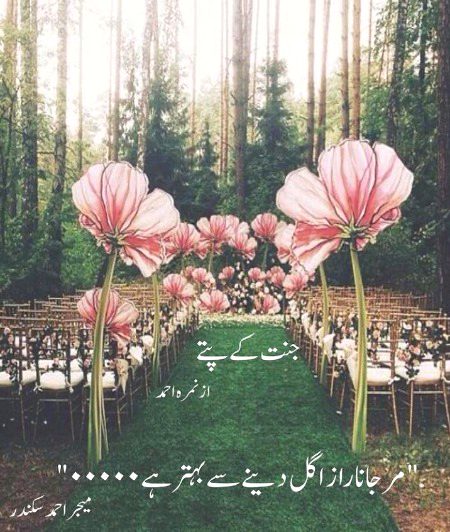 BE shak
