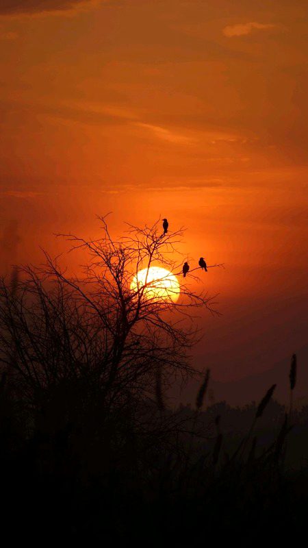 Beautiful Nature image