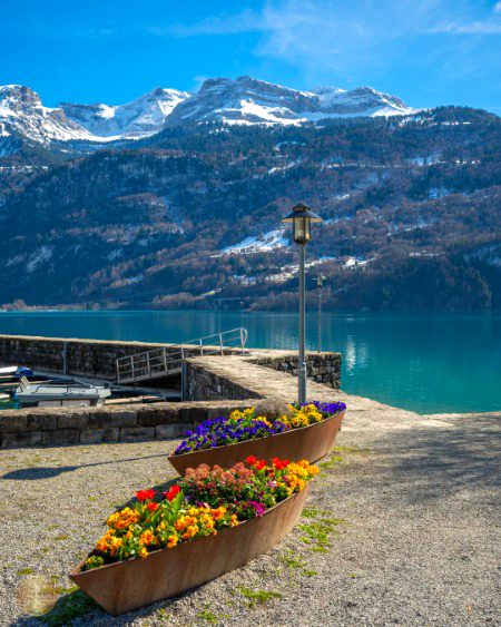 Beautiful Nature image