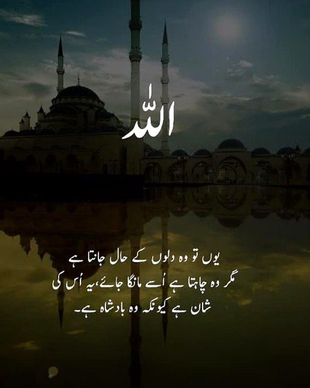 Absolutely 💞