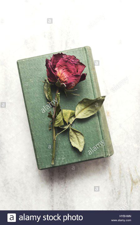 تری رضا میں بھی راضی ہیں اے خدا لیکن
وہ میرے ساتھ ہی رہتا تو کتنا اچھا تھا