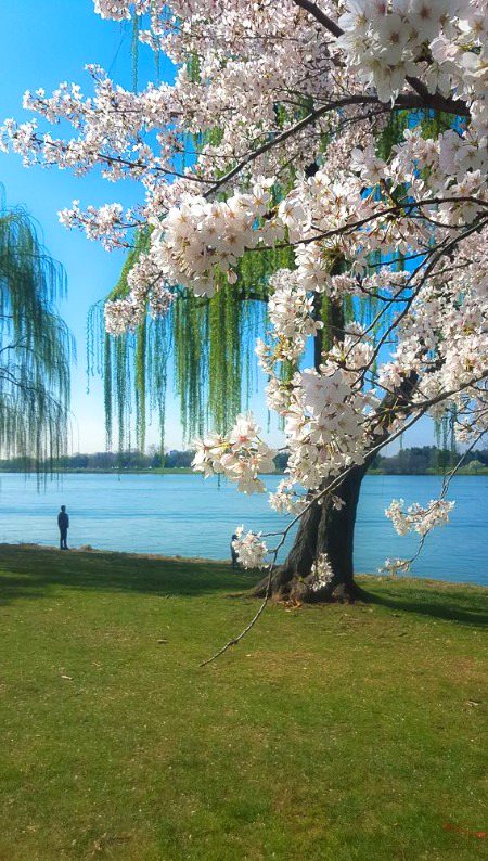 Beautiful Nature image