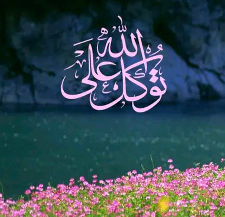 🌿🧡 ﺍﻟﺴَّـــﻼَﻡُ ﻋَﻠَﻴـــﻜُﻢ ﻭَﺭَﺣْﻤَﺔُ ﺍﻟﻠﻪِ ﻭَﺑَﺮَﻛـَـﺎﺗُﻪ 🧡🌿
🌿🧡 زندگی ایک کمزور ڈور کی مانند ہے جو کسی بھی وقت ٹوٹ سکتی ہے۔ جو مختصر گھڑیاں ہمیں نصیب ہیں کوشش کریں کہ انھیں اس شاندار انداز میں استعمال کریں کہ ہماری دنیا اور آخرت دونوں سنور جائیں۔ 🧡🌿
🌿🧡 اے اللہ ! ہم برے اخلاق، برے اعمال ، بری خواہشات اور بری بیماریوں سے تیری پناہ میں آتے ہیں ہمیں شر اور حسد سے محفوظ فرما۔ 💕💕💕💕💕💕