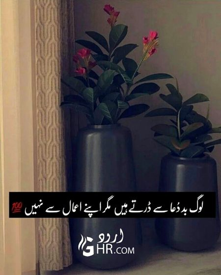 Life Advice image