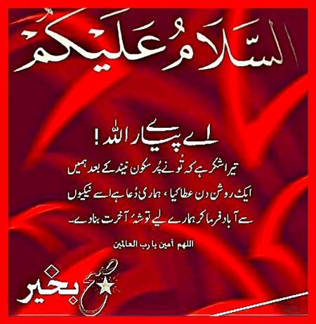 Islamic Quotes image