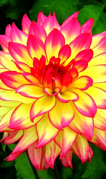 Beautiful Nature image