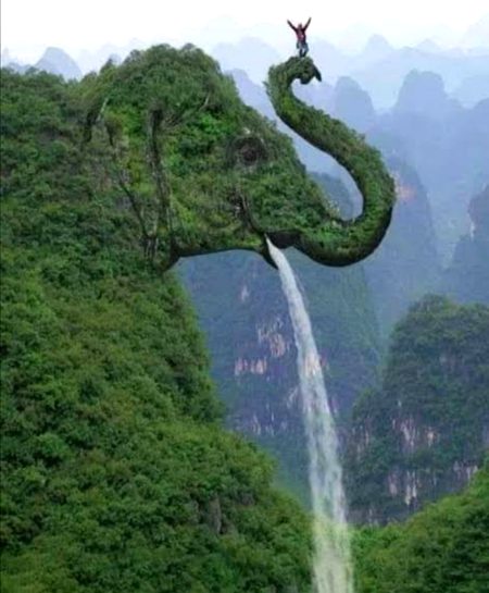 Beautiful Nature image