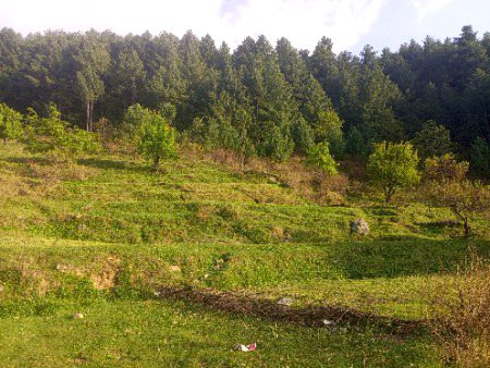 Beautiful nature my village
