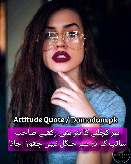 Attitude Quotes image