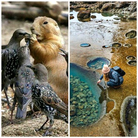 Beautiful Nature image