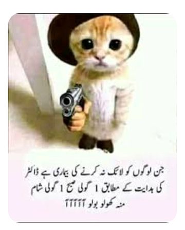 Phli goli molvi ki😊😊😊