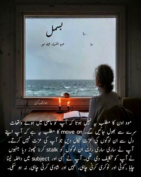 Romantic Novels image