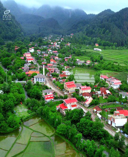 Beautiful Nature image