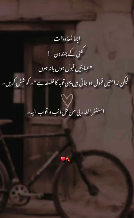 🥀🥀🌷🌷💐💐❣️❣️😍😍💯💯💯