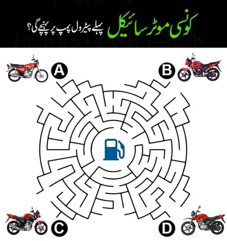 Riddles & Puzzles image