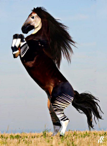 Beautiful Nature image