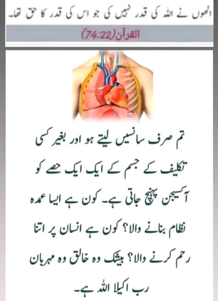 Islamic Quotes image