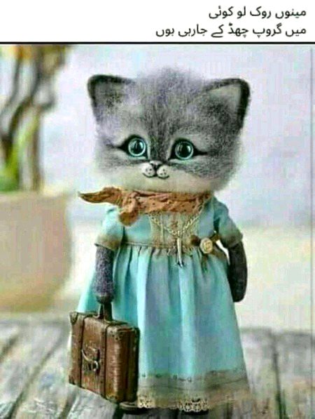 Koi muj se bt ni krta ..
Jugnu 💞