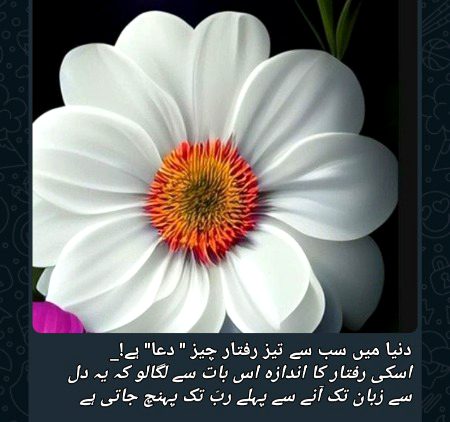 Dua men yaD jan🤲🏽