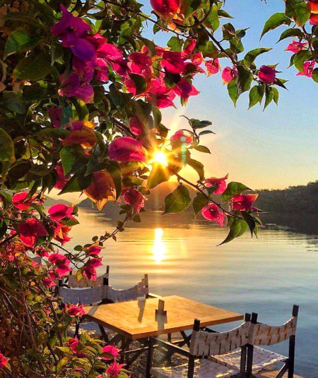 Beautiful Nature image