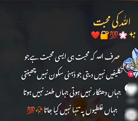 Islamic Quotes image