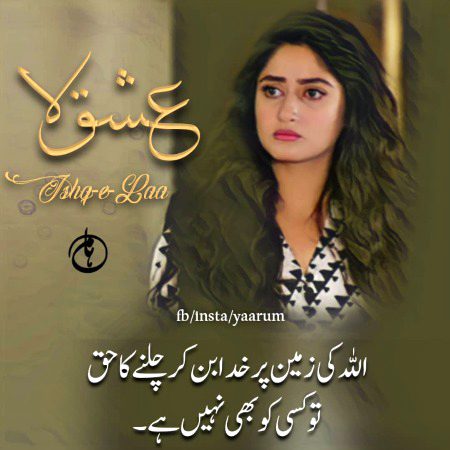 Romantic Novels image