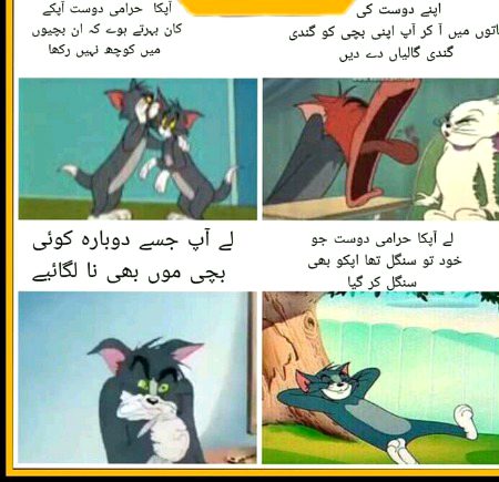 Memes & Satire image