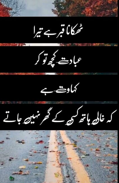 Islamic Quotes image