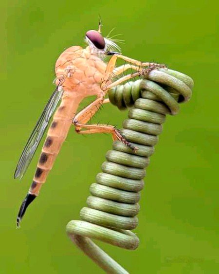 Beautiful Nature image