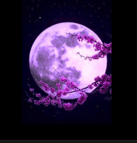 Beautiful Nature image