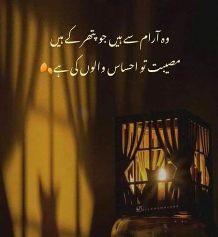 By mushk