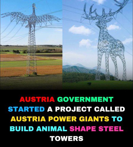 Interesting Posts image