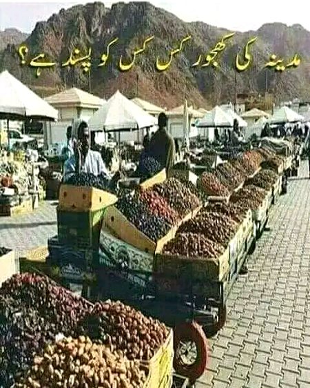 Bollo kas ko pasnd him