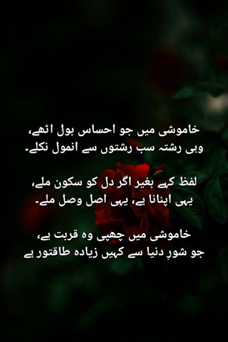 اک نظر کا لمس، اک سکوت کی لہر،
محبت کبھی لفظوں کی محتاج نہیں رہتی۔
تم بھی کچھ کہو، چاہت کی زبان میں،
میں بھی سناؤں دل کی کہانی، خاموشی کی جان میں