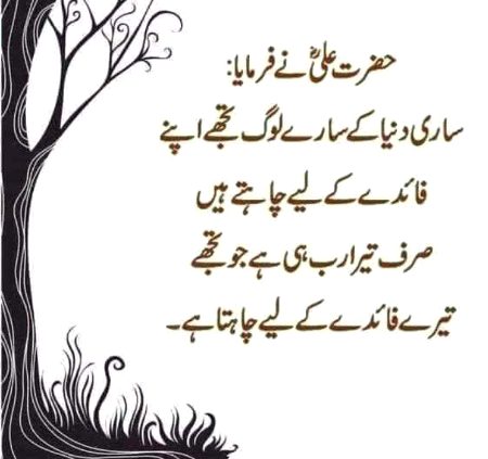 Islamic Quotes image