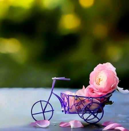 Beautiful Nature image