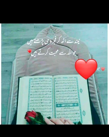 Islamic Quotes image