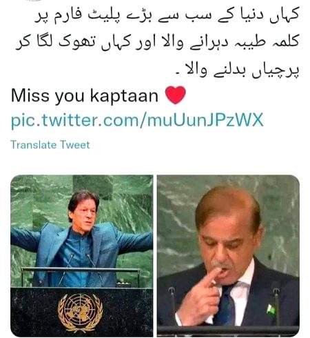 Memes & Satire image