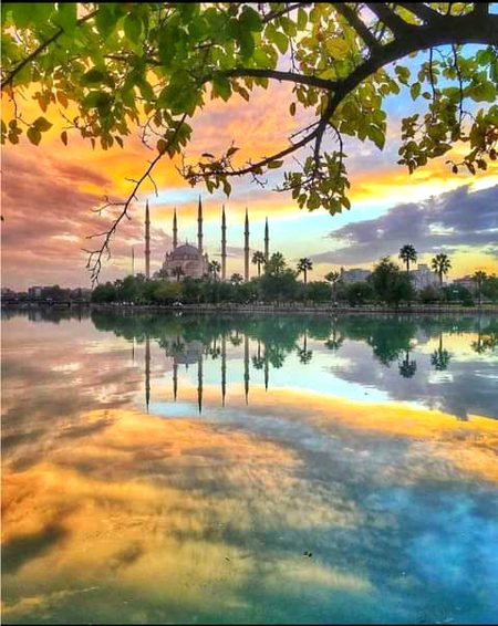 Beautiful Nature image