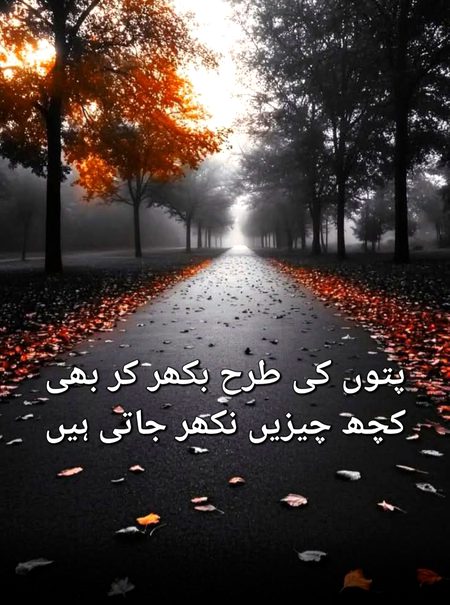 خزاں میں اپنے پتوں کی جدائی کی اذیت کو شجر محسُوس تو کرتا ہے، لیکن کچھ کر نہیں سکتا۔۔۔۔