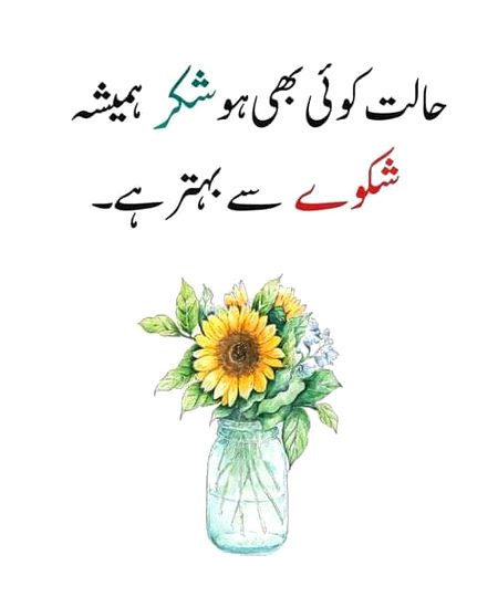 Life Advice image