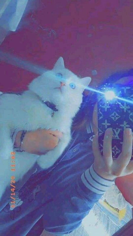 Beautiful Nature image