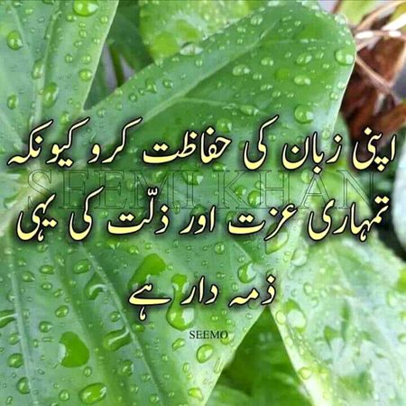 Fakhar sharing